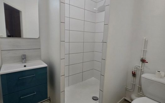 Studio lumineux –  secteur Carnot